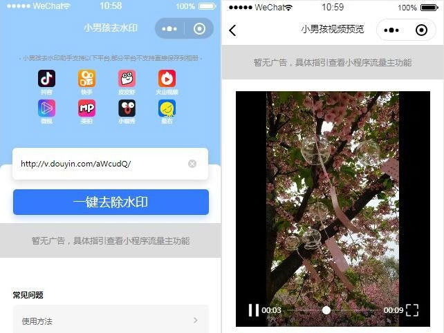 抖音去水印小程序源码 独立版 无后台(图1)