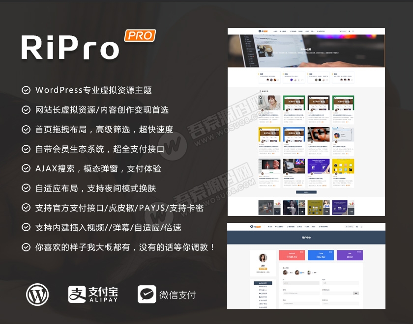Wordpress主题：RiPro6.3.8最新版完整修复去后门和加密文件(图1)