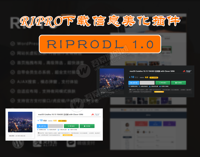 wordpress主题：日主题RiPro6.2免授权修复版+riprodl1.2下载页美化插件 虚拟资源付费下载网站模板(图2)