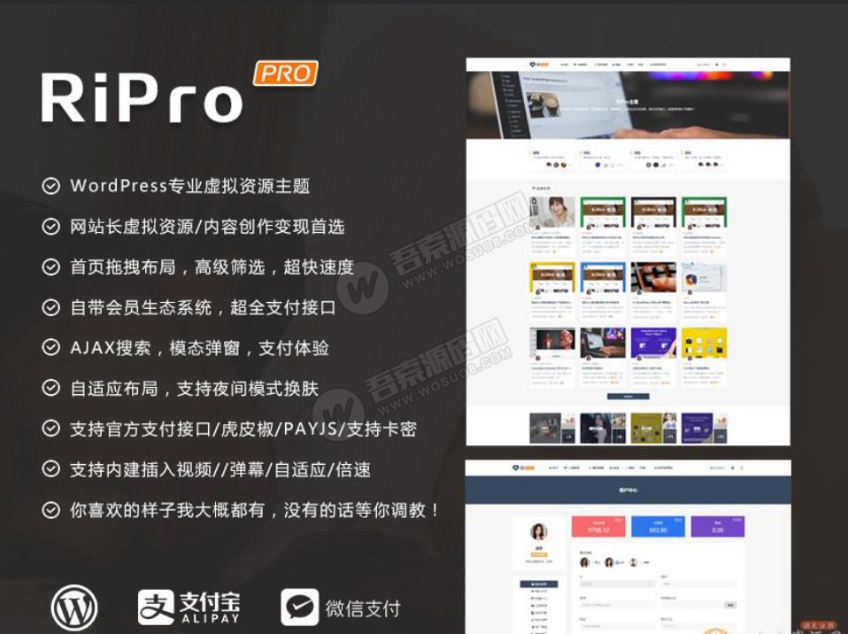 WordPress主题：RiProV5.8免授权，日主题破解版(图1)
